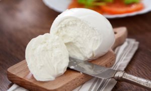 mozarella