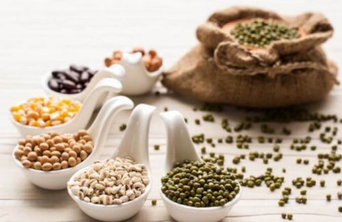 Różne rośliny strączkowe - sportowiec weganin