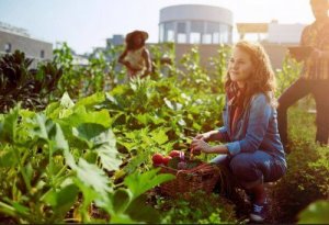 Sezonowe produkty spożywcze: wybór miesiąc po miesiącu