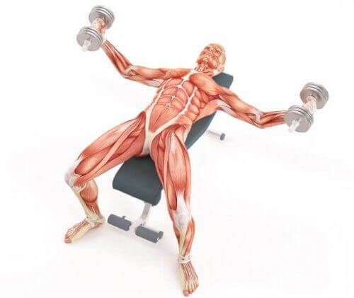 Wyciskanie na ławce