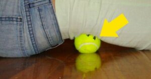 piłka tenisowa do ćwiczenia pleców