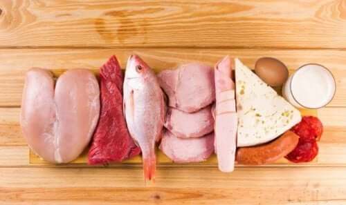 suplementy crossfit - źródła białka