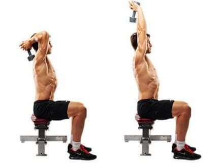 Pionowe wyprostowanie tricepsa z hantlami polega na wzięciu hantli obiema rękami za szyję i wyciągnięcie ionowo.