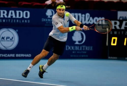 David Ferrer