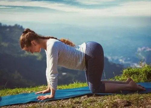 Ból pleców na dole a pozycja kota