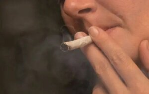 Wpływ marihuany na organizm człowieka