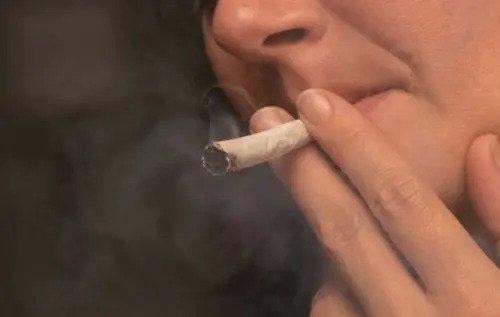 Wpływ marihuany na organizm człowieka