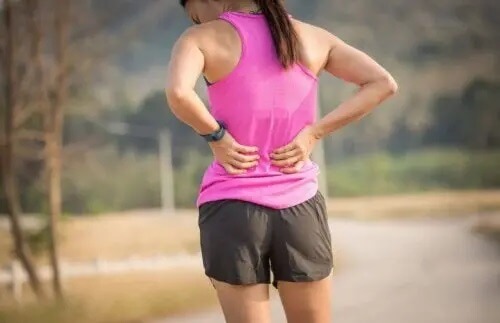 Wątroba i jelita oraz ich wpływ na zdrowie sportowca