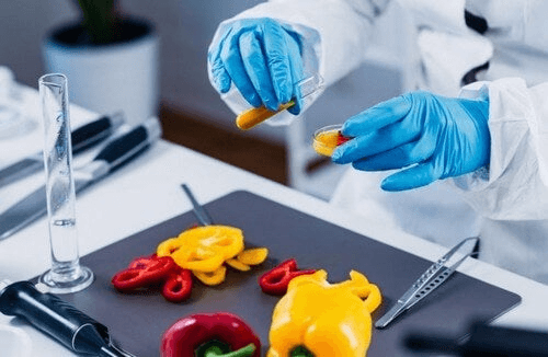 żywność modyfikowana genetycznie